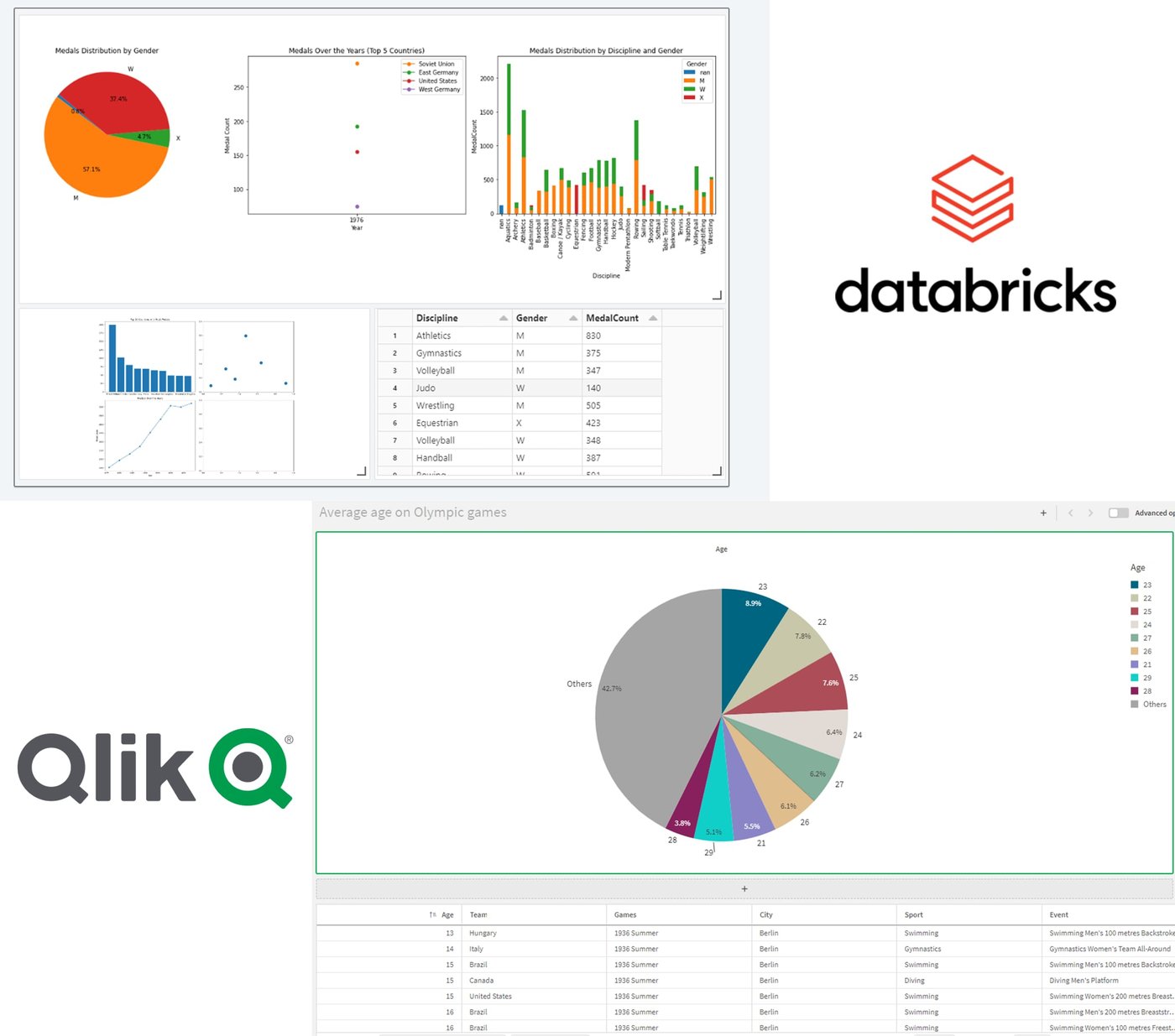 Databricks SQL and Qlik Comparing Data Visualization Tools